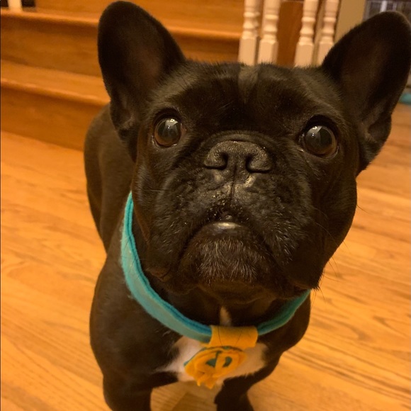 ❤️Welcome! I’m Matilda!!❤️ - Picture 5 of 12